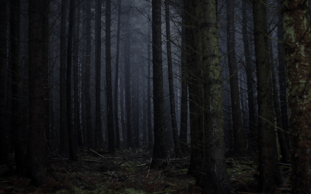 The is dark forest overcast with a grey from the moon, making the place look solemn and mysterious, much like "The Outsider" in the series. It's also used as a nod to a scene from the series which is based in the woods.