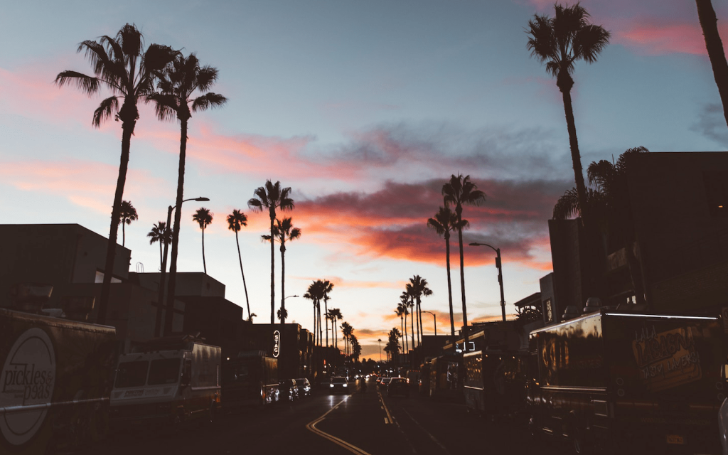 This is a dimmed light street in Los Angeles in the dawn with dark palm trees against a redish, organish, greyish clouds, used to illustrate the tone and colour pallette of "The Little Things".